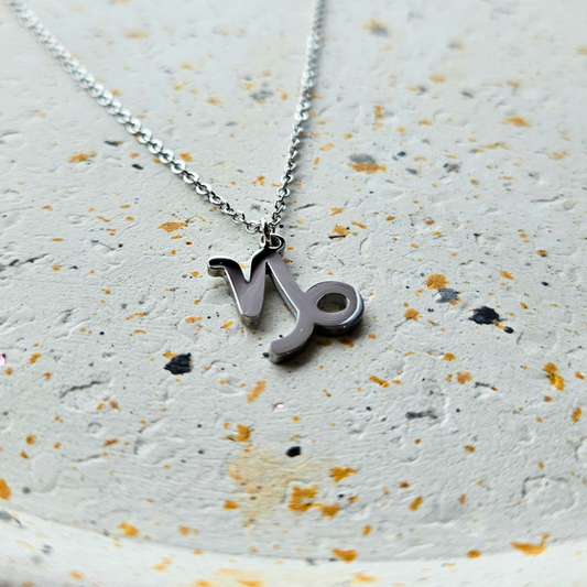 Ketting gemaakt van stainless steel met sterrenbeeld steenbok