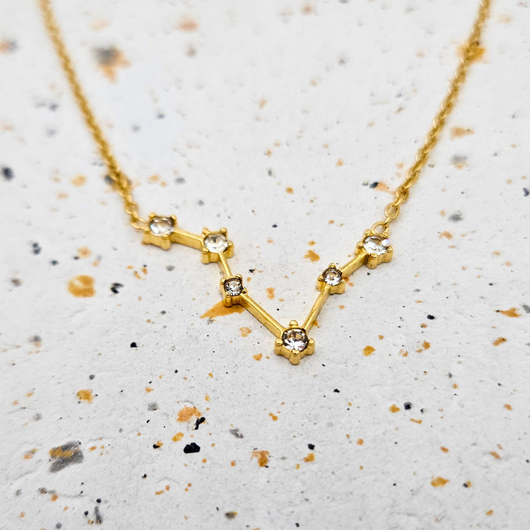 Ketting van goldplated stainless steel met sterrenbeeld vissen